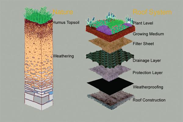 comparativo green roof